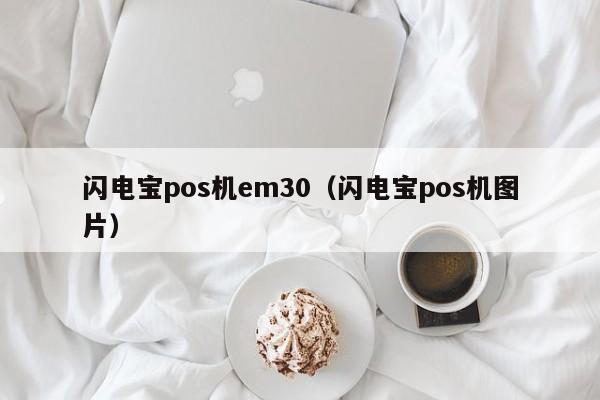 闪电宝pos机em30（闪电宝pos机图片）