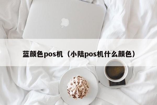 蓝颜色pos机（小陆pos机什么颜色）