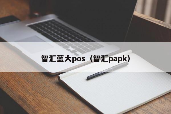 智汇蓝大pos（智汇papk）