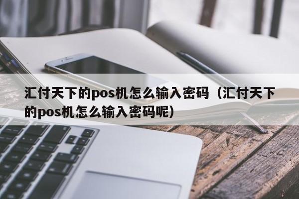 汇付天下的pos机怎么输入密码（汇付天下的pos机怎么输入密码呢）