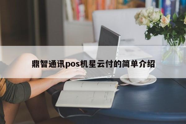 鼎智通讯pos机星云付的简单介绍