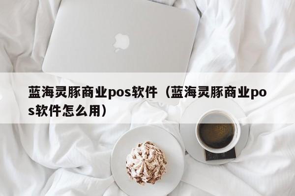 蓝海灵豚商业pos软件（蓝海灵豚商业pos软件怎么用）