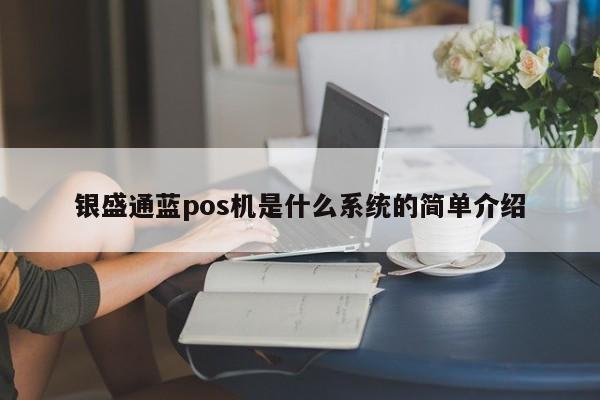 银盛通蓝pos机是什么系统的简单介绍