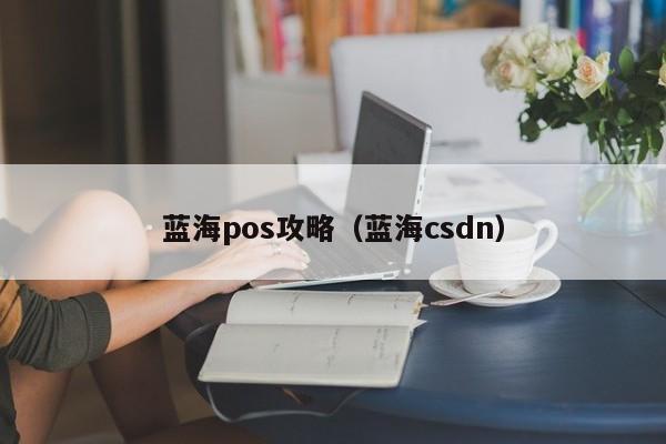 蓝海pos攻略（蓝海csdn）