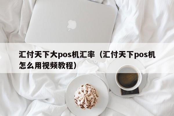 汇付天下大pos机汇率（汇付天下pos机怎么用视频教程）