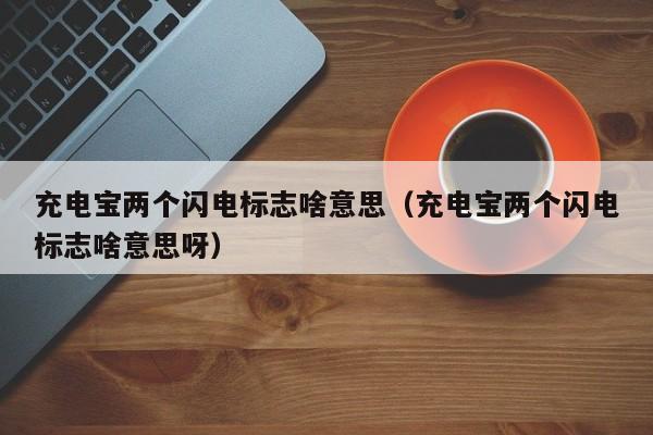 充电宝两个闪电标志啥意思（充电宝两个闪电标志啥意思呀）