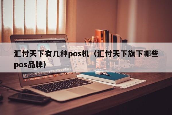 汇付天下有几种pos机（汇付天下旗下哪些pos品牌）