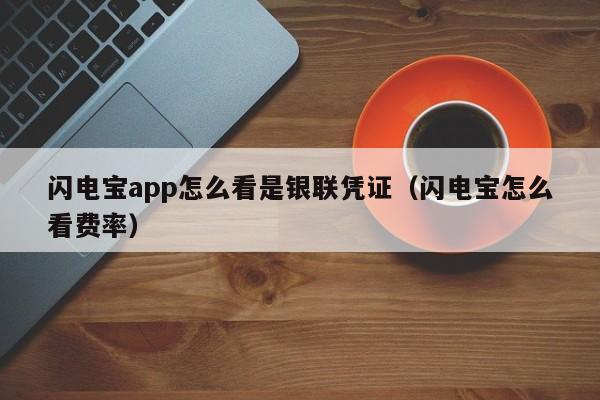 闪电宝app怎么看是银联凭证（闪电宝怎么看费率）