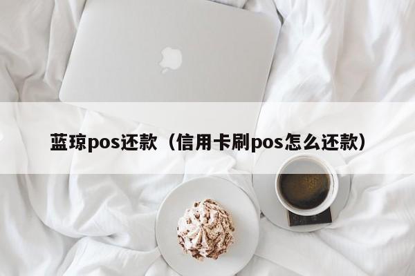 蓝琼pos还款（信用卡刷pos怎么还款）