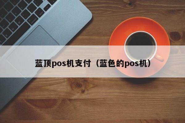 蓝顶pos机支付（蓝色的pos机）