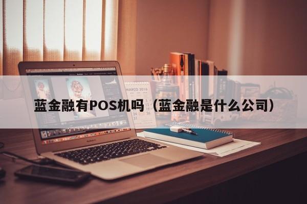 蓝金融有POS机吗（蓝金融是什么公司）