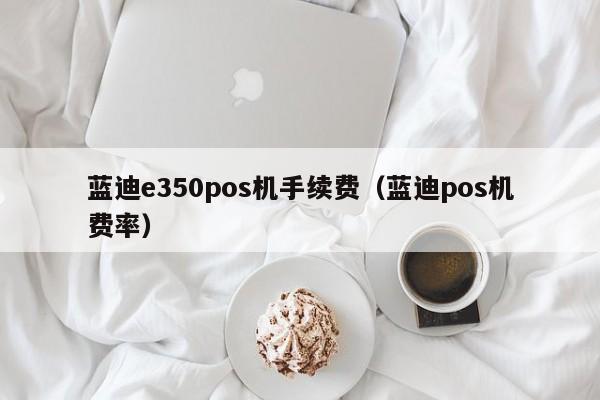 蓝迪e350pos机手续费（蓝迪pos机费率）