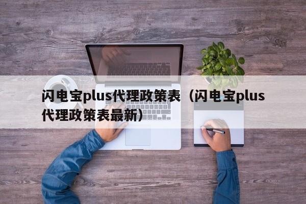 闪电宝plus代理政策表（闪电宝plus代理政策表最新）