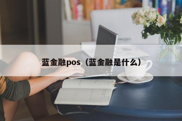 蓝金融pos（蓝金融是什么）