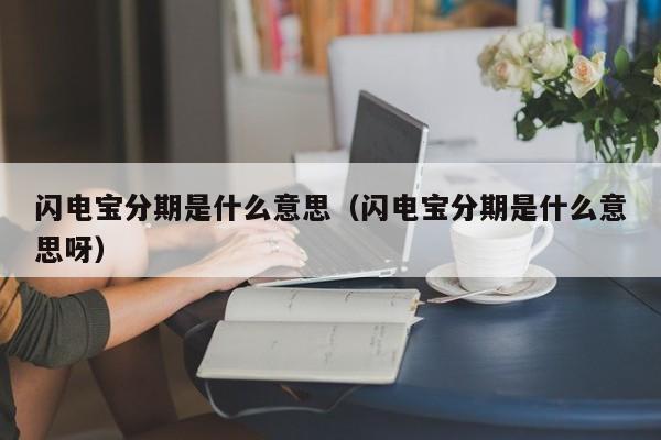 闪电宝分期是什么意思（闪电宝分期是什么意思呀）