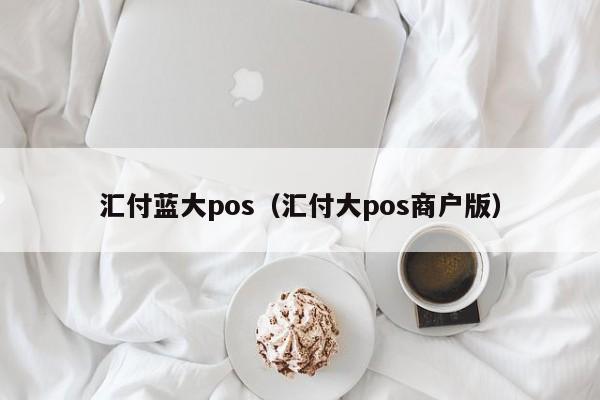 汇付蓝大pos（汇付大pos商户版）