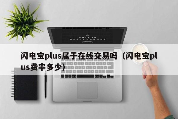 闪电宝plus属于在线交易吗（闪电宝plus费率多少）