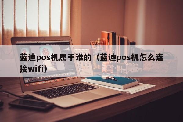 蓝迪pos机属于谁的（蓝迪pos机怎么连接wifi）