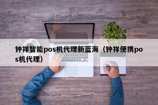 钟祥智能pos机代理新蓝海（钟祥便携pos机代理）