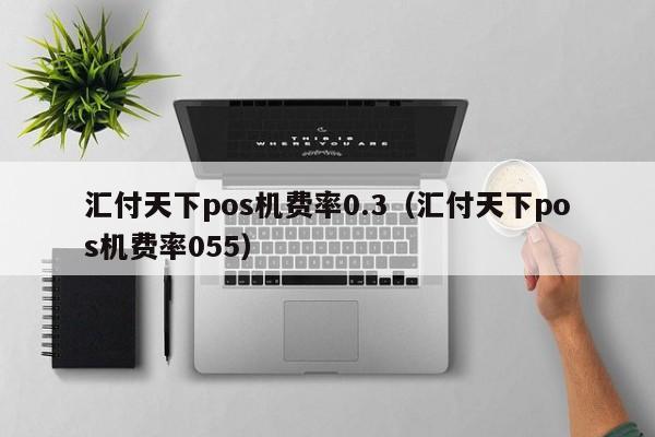 汇付天下pos机费率0.3（汇付天下pos机费率055）