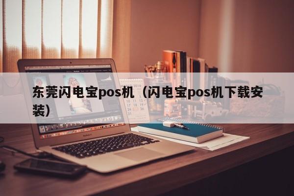 东莞闪电宝pos机（闪电宝pos机下载安装）