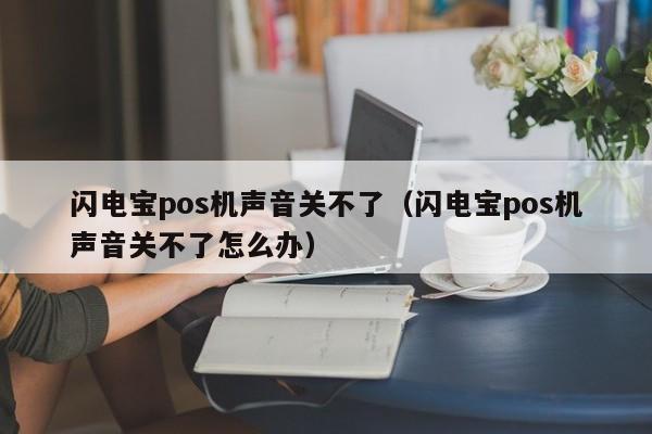 闪电宝pos机声音关不了（闪电宝pos机声音关不了怎么办）