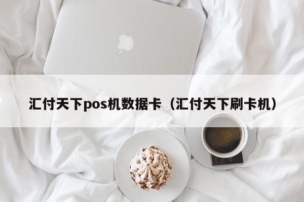 汇付天下pos机数据卡（汇付天下刷卡机）