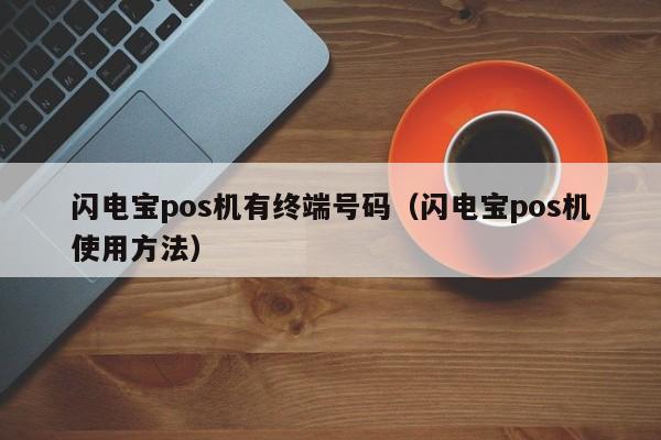 闪电宝pos机有终端号码（闪电宝pos机使用方法）