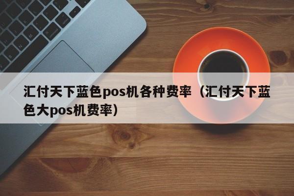 汇付天下蓝色pos机各种费率（汇付天下蓝色大pos机费率）