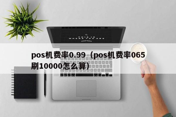 pos机费率0.99（pos机费率065刷10000怎么算）