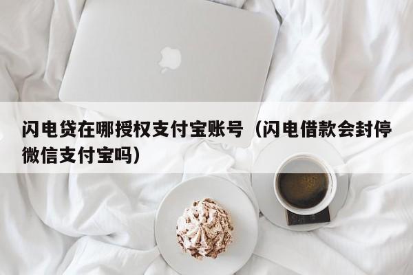 闪电贷在哪授权支付宝账号（闪电借款会封停微信支付宝吗）