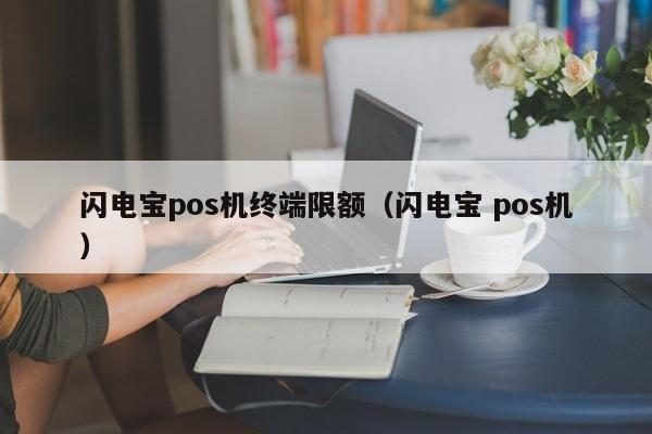 闪电宝pos机终端限额（闪电宝 pos机）