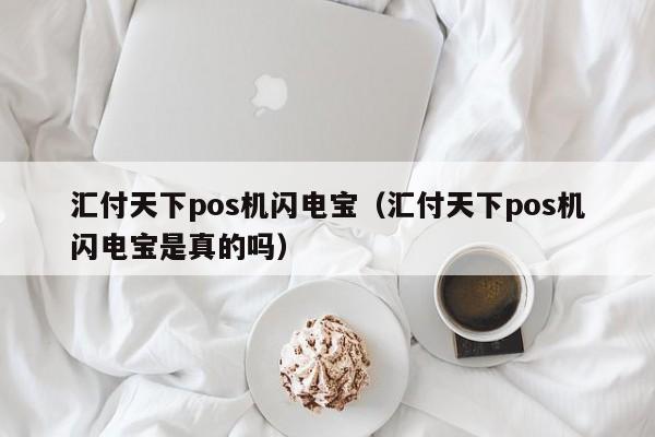 汇付天下pos机闪电宝（汇付天下pos机闪电宝是真的吗）