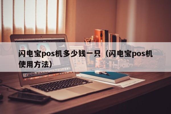 闪电宝pos机多少钱一只（闪电宝pos机使用方法）