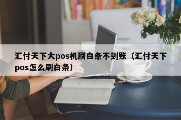 汇付天下大pos机刷白条不到账（汇付天下pos怎么刷白条）