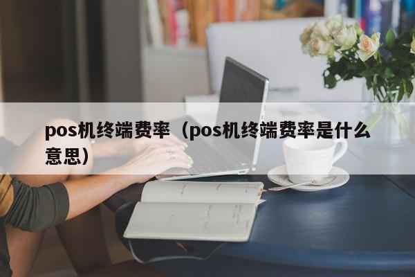 pos机终端费率（pos机终端费率是什么意思）