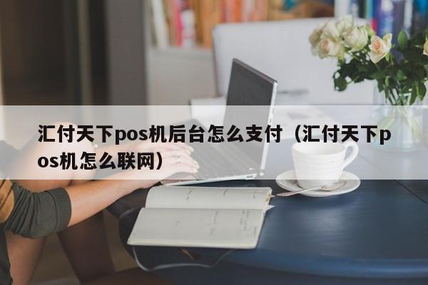 汇付天下pos机后台怎么支付（汇付天下pos机怎么联网）