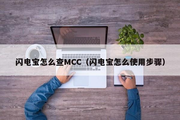 闪电宝怎么查MCC（闪电宝怎么使用步骤）