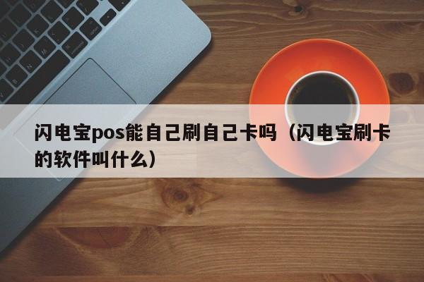 闪电宝pos能自己刷自己卡吗（闪电宝刷卡的软件叫什么）