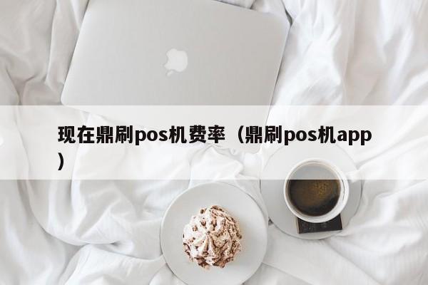 现在鼎刷pos机费率（鼎刷pos机app）