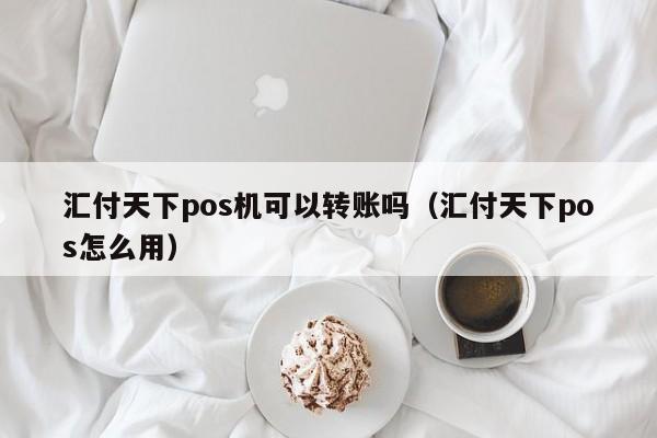 汇付天下pos机可以转账吗（汇付天下pos怎么用）