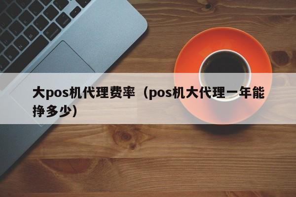 大pos机代理费率（pos机大代理一年能挣多少）