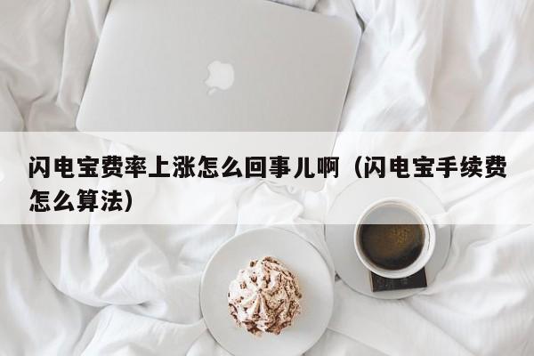 闪电宝费率上涨怎么回事儿啊（闪电宝手续费怎么算法）