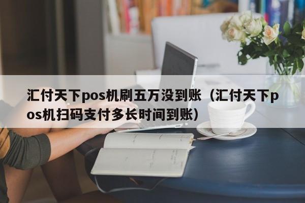 汇付天下pos机刷五万没到账（汇付天下pos机扫码支付多长时间到账）