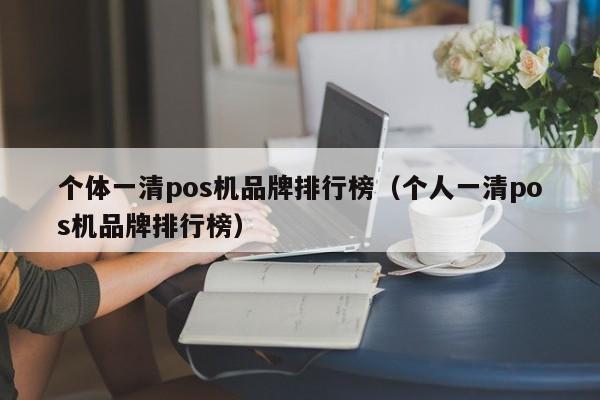 个体一清pos机品牌排行榜（个人一清pos机品牌排行榜）