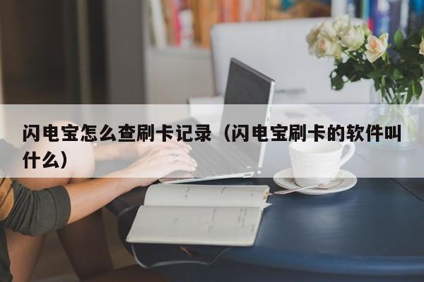 闪电宝怎么查刷卡记录（闪电宝刷卡的软件叫什么）