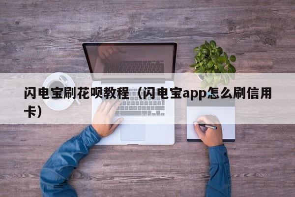 闪电宝刷花呗教程（闪电宝app怎么刷信用卡）