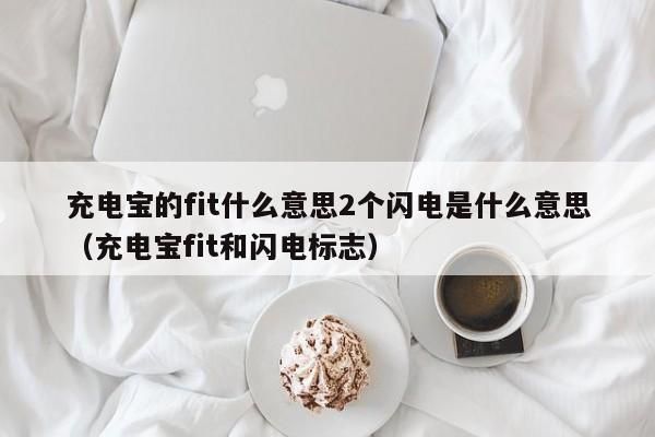 充电宝的fit什么意思2个闪电是什么意思（充电宝fit和闪电标志）