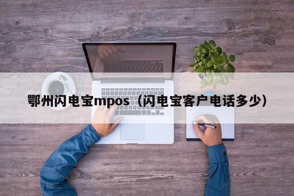 鄂州闪电宝mpos（闪电宝客户电话多少）