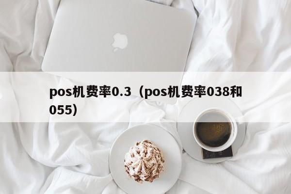 pos机费率0.3（pos机费率038和055）